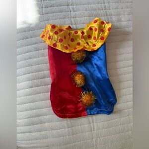 Colorful Clown Dog Costume